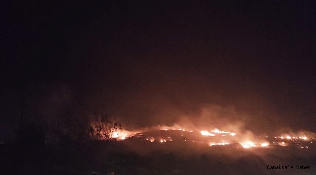 Hatay&#039;da tarihi turistik bölgede yangın
