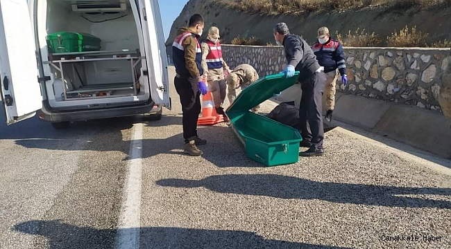 Hatay'da yol kenarında ceset bulundu