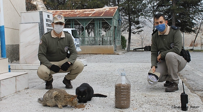 HAYDİ polisleri sokak hayvanlarını unutmadı