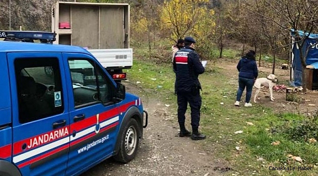 HAYDİ sokak hayvanlarının yanında