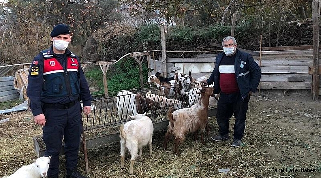 Hayvan hırsızları yakalandı