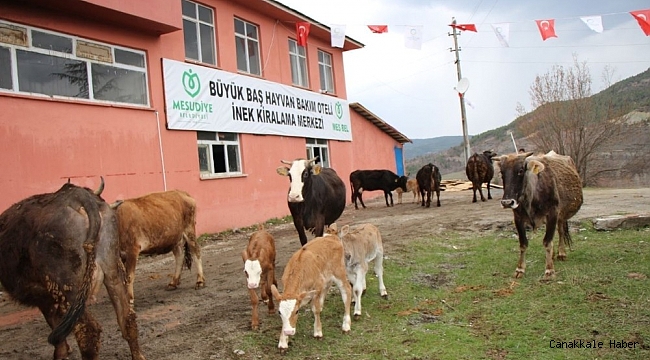 Hayvan Oteli'ne büyük ilgi