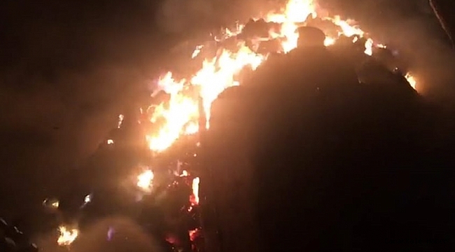 Hayvanları için almıştı, hepsi yangında kül oldu