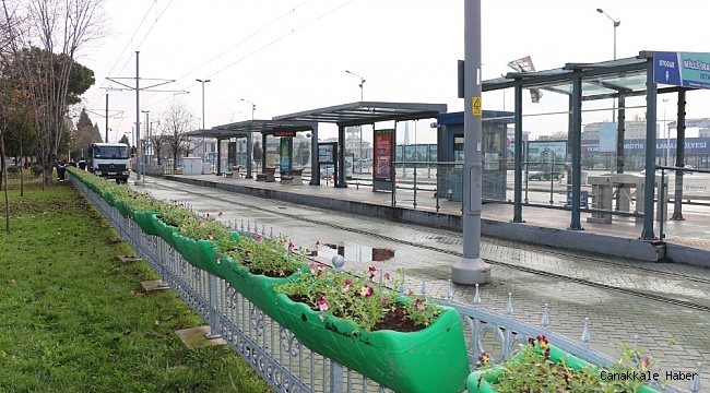Hercai menekşeler tramvay duraklarına renk getirdi