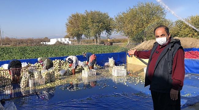 Hesap makinesini değil toprağı tercih etti