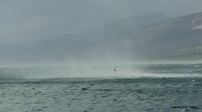 Hortum denizdeki martıları böyle savurdu