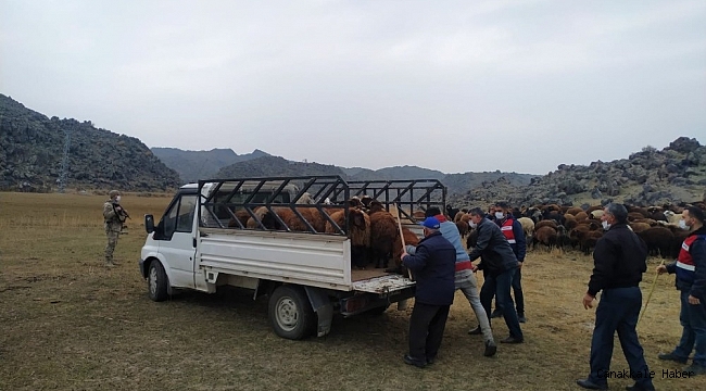 Iğdır&#039;da hayvan hırsızlığı: 2 gözaltı