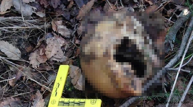 İki aydır kayıptı, cesedi derede bulundu