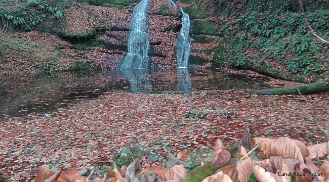 İkiz şelalelerde kartpostallık görüntüler