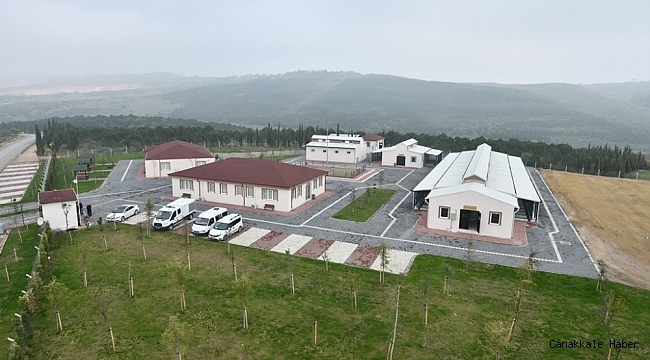 İnegöl Belediyesi 7 bin 700 can dostuna şifa oldu