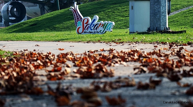 İnsanların boşalttığı şehri doğa süsledi