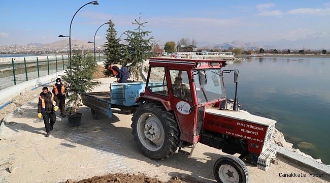 İskele sahil kordonunda peyzaj çalışması