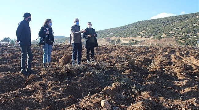 Isparta&#039;da 500 bin lavanta fidanı toprakla buluşuyor