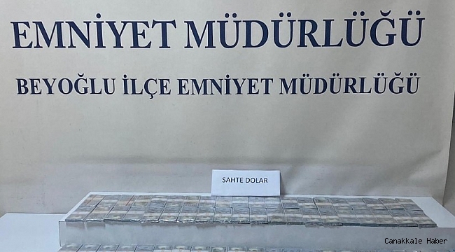 İstanbul&#039;da 700 bin sahte dolar ele geçirildi