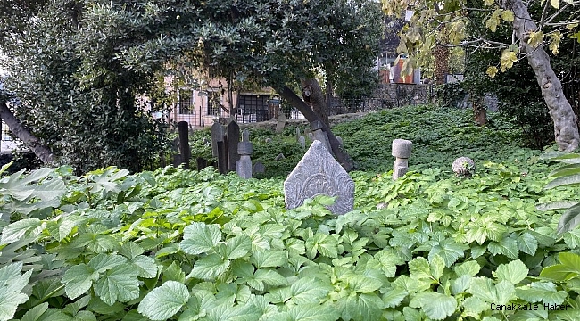 İstanbul'da tarihi hazirenin içler acısı hali yürekleri burktu