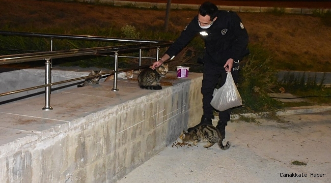 İzmir polisinden örnek davranış: Aç kalan hayvanları elleriyle besledi