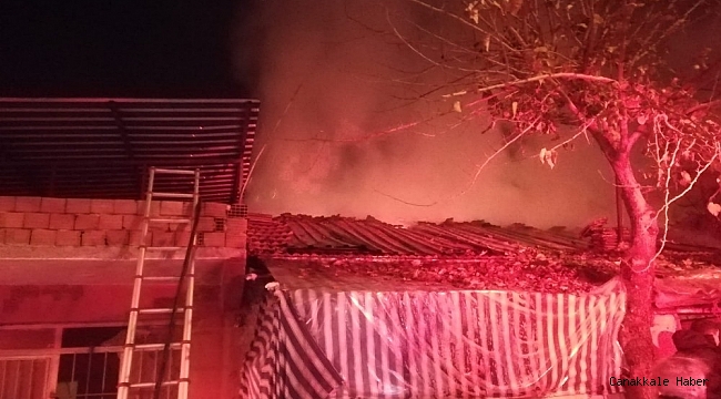 İzmir&#039;de evde çıkan yangın bitişikteki binaya sıçradı