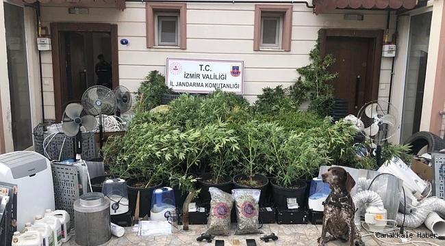 İzmir&#039;de uyuşturucu serasına operasyon: 4 gözaltı