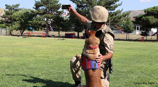 Jandarma, can dostları köpekler için kısa film çekti