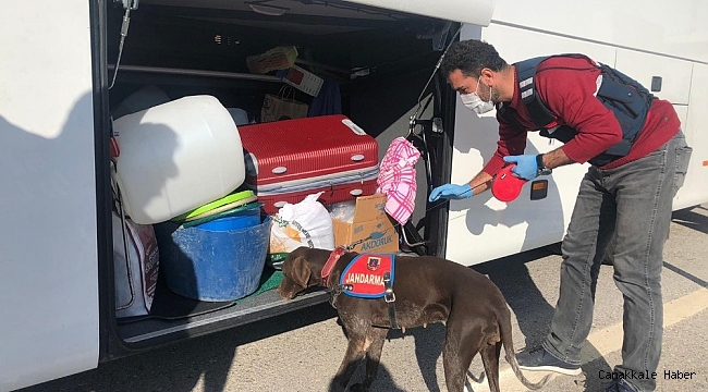 Jandarma ekipleri suçlulara göz açtırmıyor