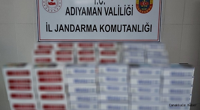 Jandarma makaron ele geçirdi