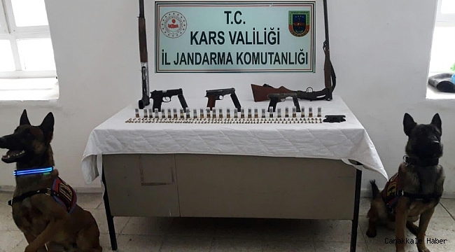 Jandarma ruhsatsız silahları yakaladı