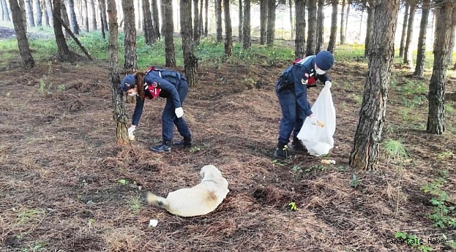 Jandarmadan örnek davranış