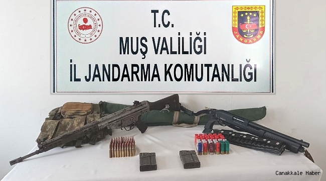 Jandarmadan silah kaçakçılığı operasyonu