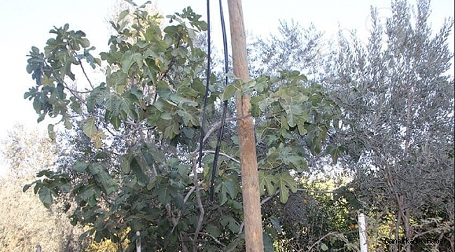 Kabloları çalan hırsızlar 20 köyü internetsiz bıraktı