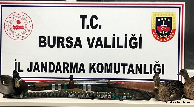 Kaçak avcılar, jandarma yakalandı