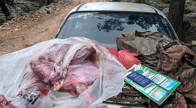 Kaçak yaban keçisi avlayan 2 kişiye 31 bin 236 TL para cezası kesildi