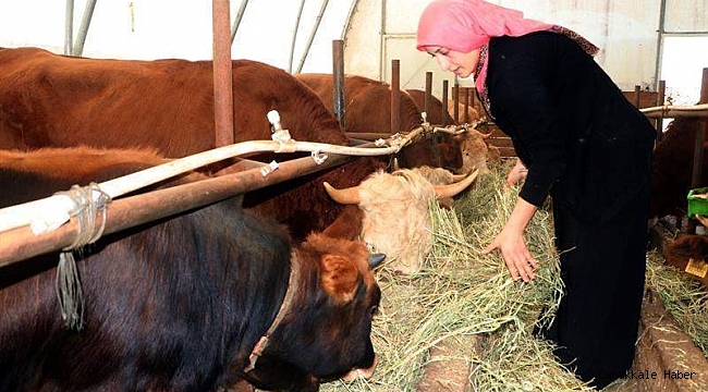 Kadınlar daha girişimci