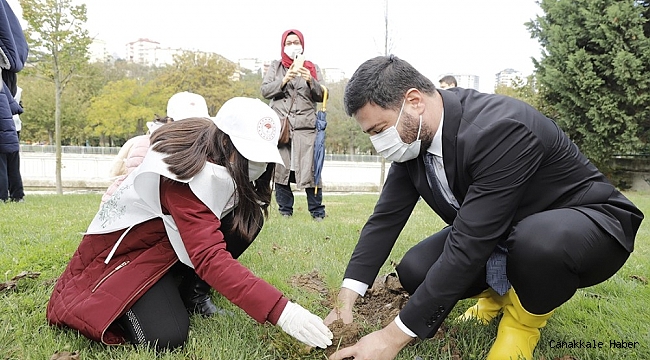 Kağıthane&#039;de her köşebaşına ağaç
