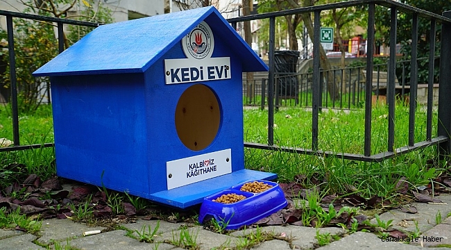 Kağıthane'de sokak hayvanları unutulmuyor