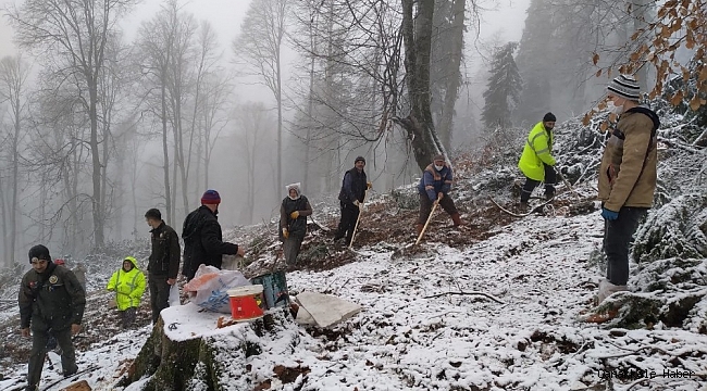 Karabük&#039;te kar yağışına rağmen 5.5 ton kayın tohumu toprakla buluşturuldu
