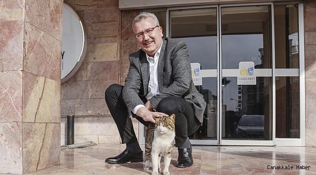 Karacabey Belediyesi pandemide de can dostlarımızı unutmuyor