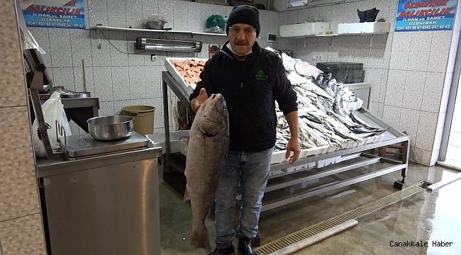 Karadeniz&#039;de Kötek bereketi