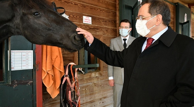 Karadeniz&#039;in en büyük binicilik tesisi yenilenecek