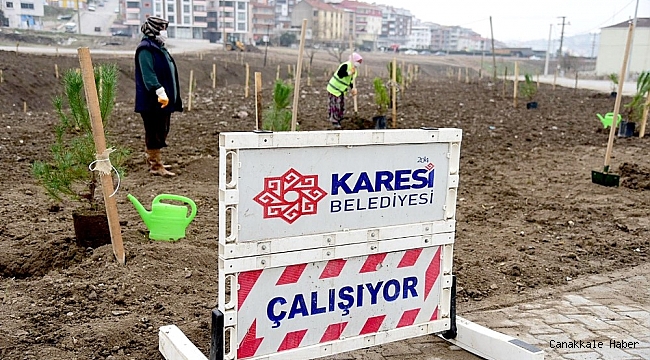Karesi&#039;de fidanlar toprakla buluşuyor