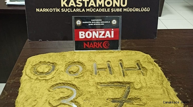 Kastamonu'da Bonzai maddesi ele geçirildi