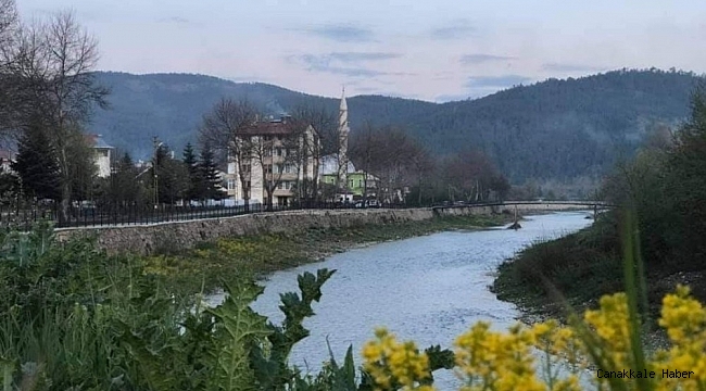 Kastamonu&#039;da çayda üç tane su samuru görüldü