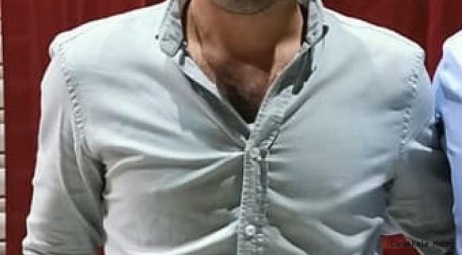 Kestiği ağaç üzerine devrilen şahıs ağır yaralandı