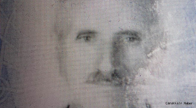 Kestiği ağacında altında kalarak can verdi