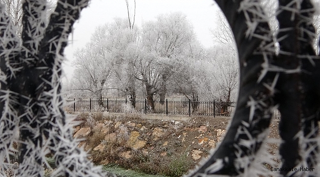 Kırağı güzel görüntüler oluşturdu