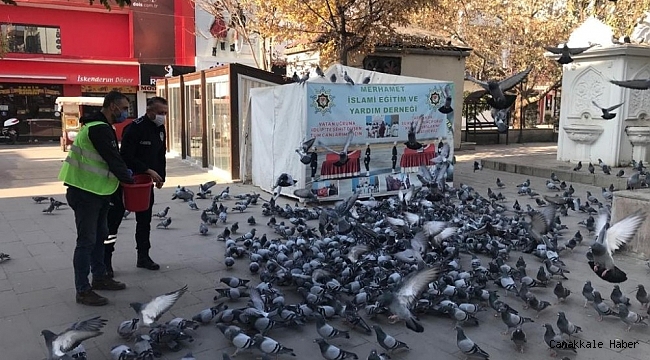 Kırıkkale&#039;de sokak hayvanlarına şefkat eli