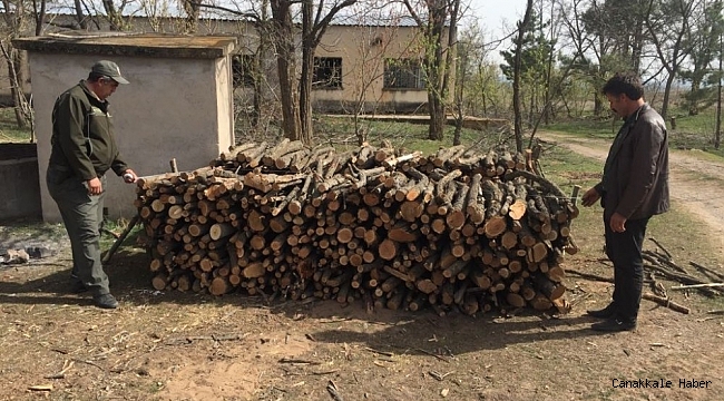 Kırşehir&#039;de, orman alanlarında 2 yılda 1 milyon 600 bin lira gelir sağlandı