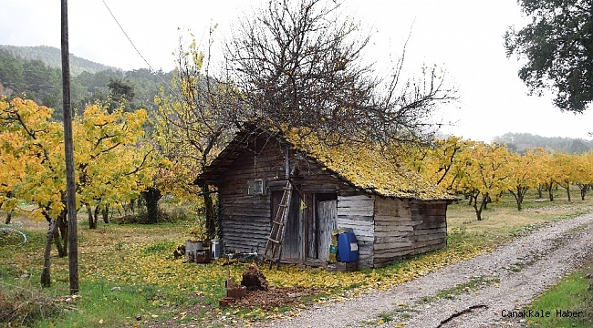 Kısıtlama günlerinin de yaylayı tercih ettiler