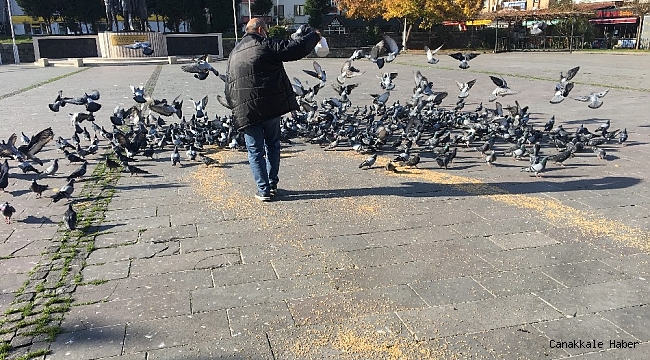 Kısıtlamada sokak hayvanları unutulmadı