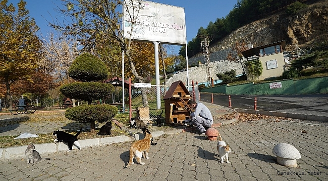 Kısıtlamada sokak hayvanlarına mama desteği