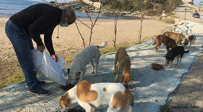 Kısıtlamada yiyecek bulamayan hayvanlar için seferber olundu